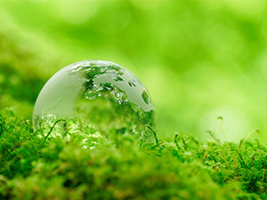 クリーンエネルギーでお得に