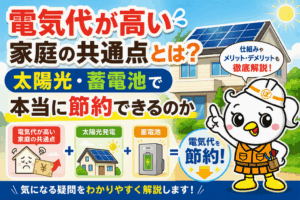 太陽光 蓄電池 節約